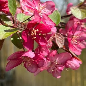 Meet your Posher, Ellary